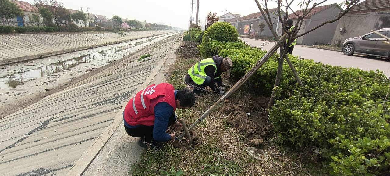 QQ图片20260402085238