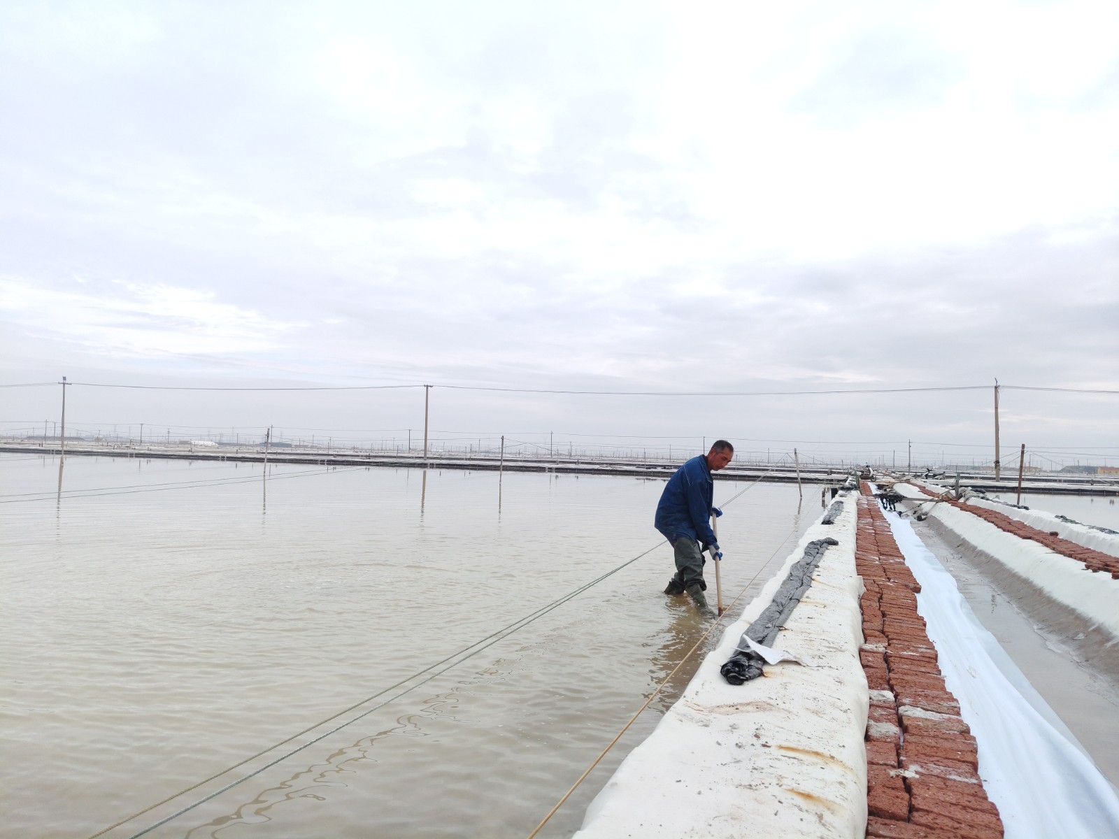 1776156211692 00207030ADECCFD2211B863C93F5F862