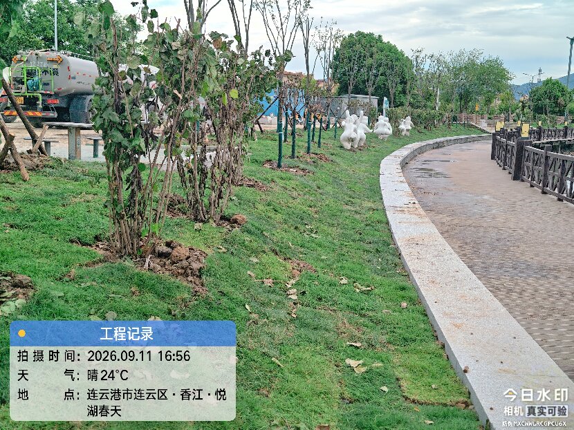 上网1